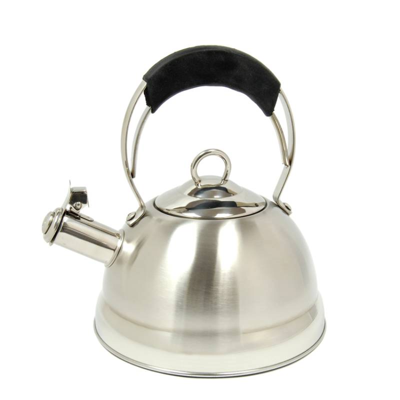 Copco stainless steel tea hot sale kettle