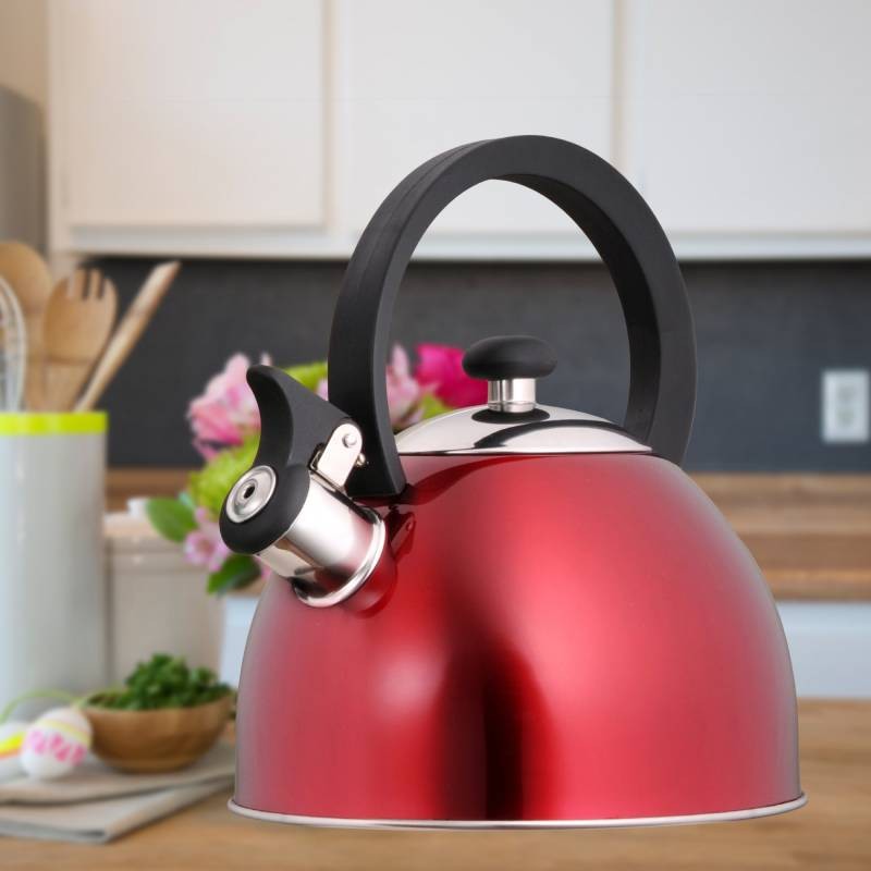 Stainless Steel Whistling Tea Kettle - 2.1 Quarts, Stovetop