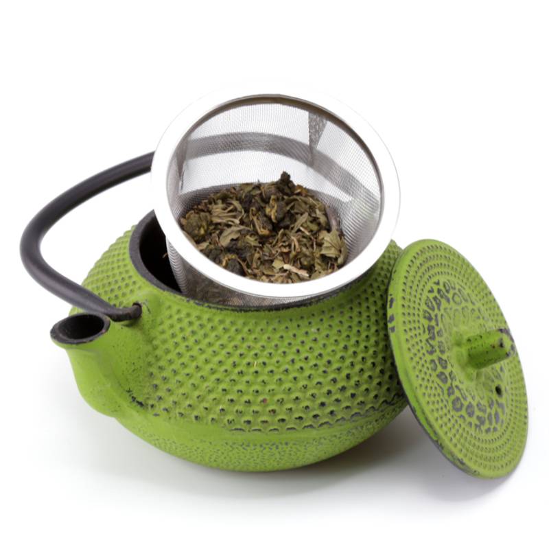 Kyusu 10 Oz Cast Iron Tea Pot in Green Color