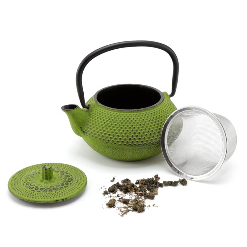 Kyusu 10 Oz Cast Iron Tea Pot in Green Color