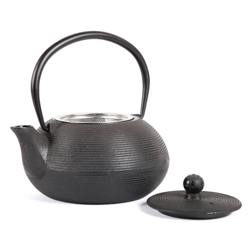Kyusu 20 Oz Cast Iron Tea Pot in Blue Color