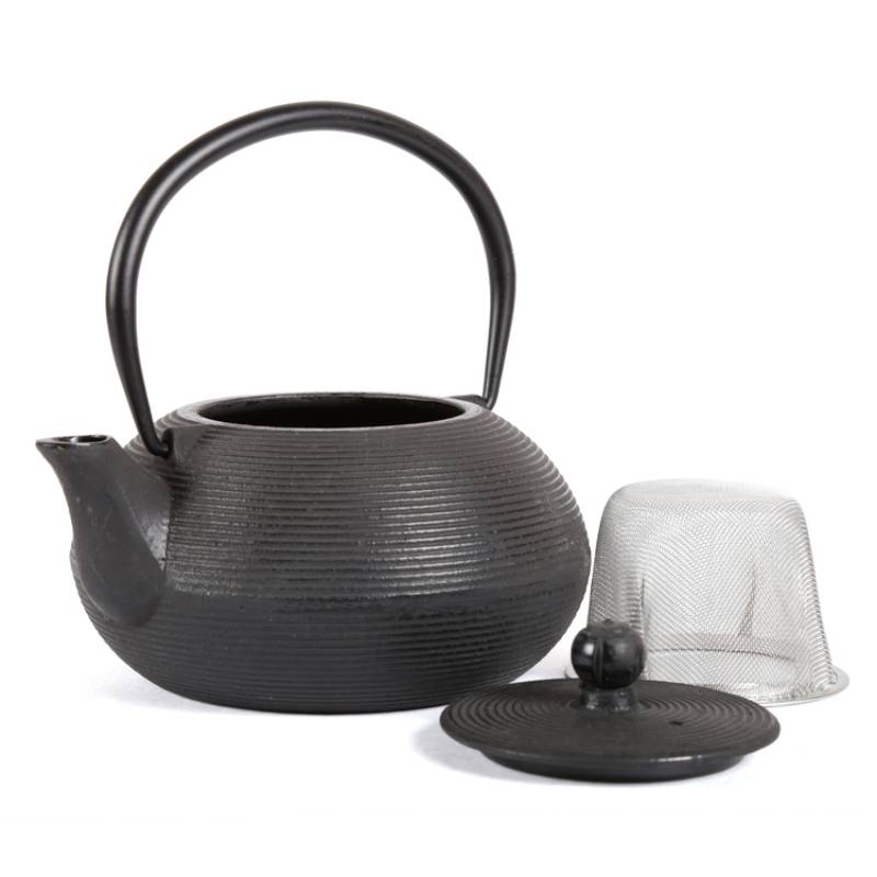 Kyusu 20 Oz Cast Iron Tea Pot in Blue Color