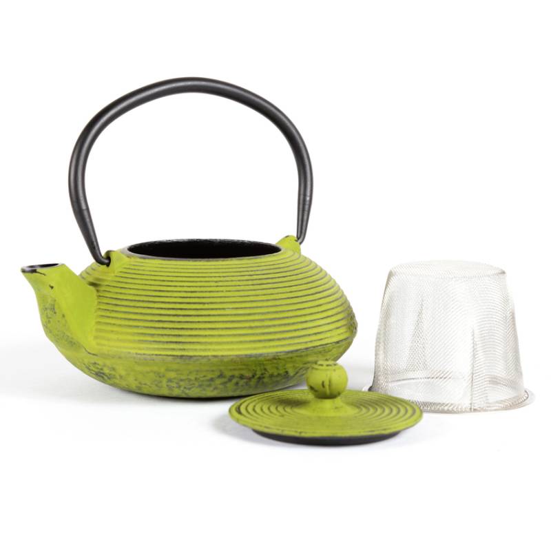 Kyusu 20 Oz Cast Iron Tea Pot in Green Color