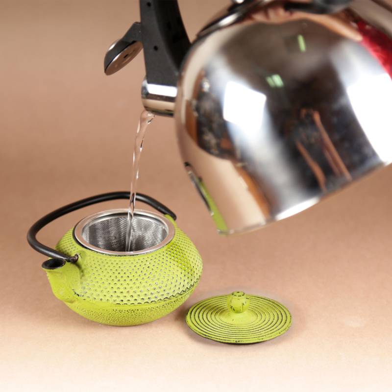 Kyusu 20 Oz Cast Iron Tea Pot in Green Color