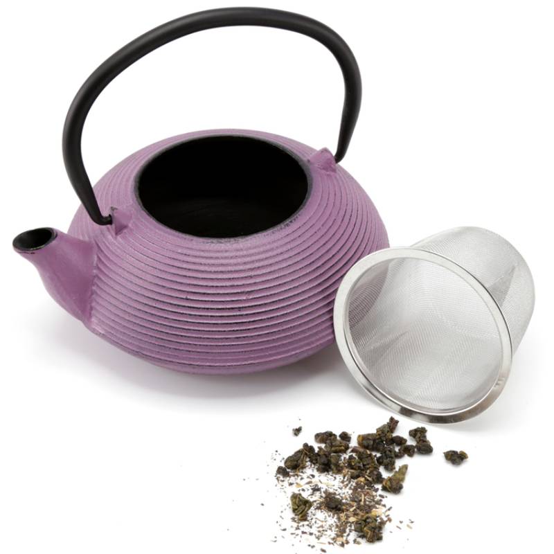 Kyusu 20 Oz Cast Iron Tea Pot in Purple Color