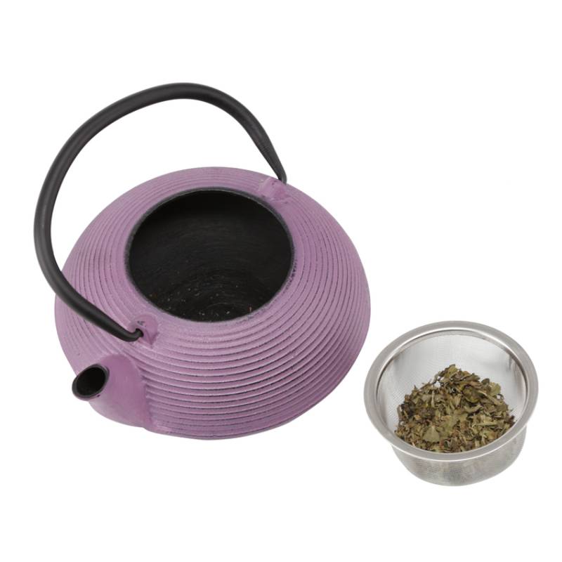 Kyusu 20 Oz Cast Iron Tea Pot in Purple Color