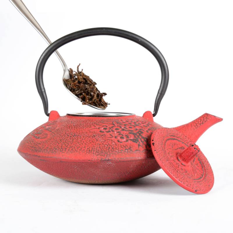 Kyusu 38 Oz Cast Iron Tea Pot in Red Color
