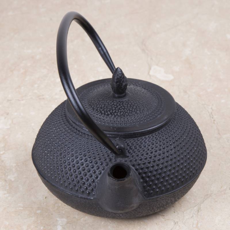 Kyusu 30 Oz Cast Iron Tea Pot in Black Color