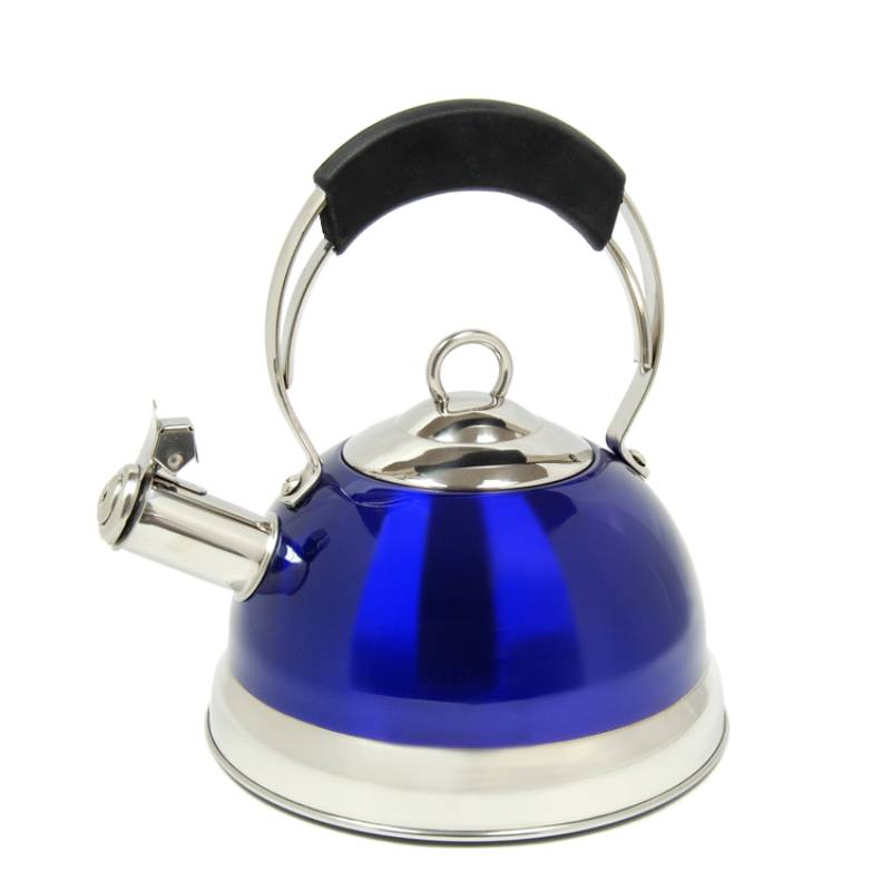 Jupiter 2.6 Qt. Stainless Steel Whistling Tea Kettle in Blue Color