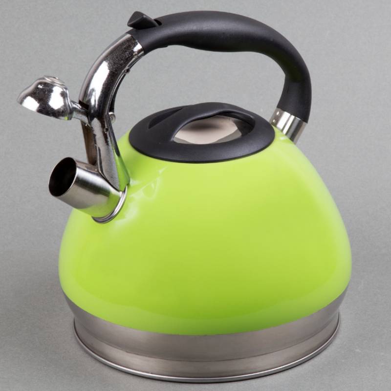 Triumph 3.5 Qt. Stainless Steel Whistling Tea Kettle in Green Color